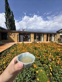 去掉濾鏡的新疆旅行——第十天