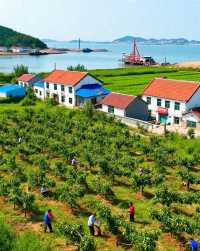 渡口村|寧靜而富有古韻的村落|藏在膠東的田園桃源