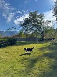 赴約山海｜台州自駕行程記錄（寵物友好版）