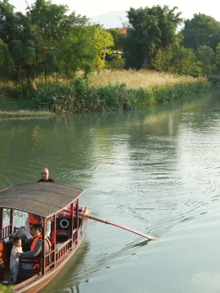 溫州三垟濕地一日遊｜蘆葦+小鹿秋日氛圍感