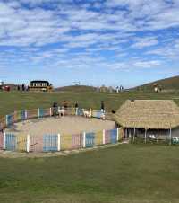 週末衝仰天湖剛好趕上霧淞收尾雙重驚喜