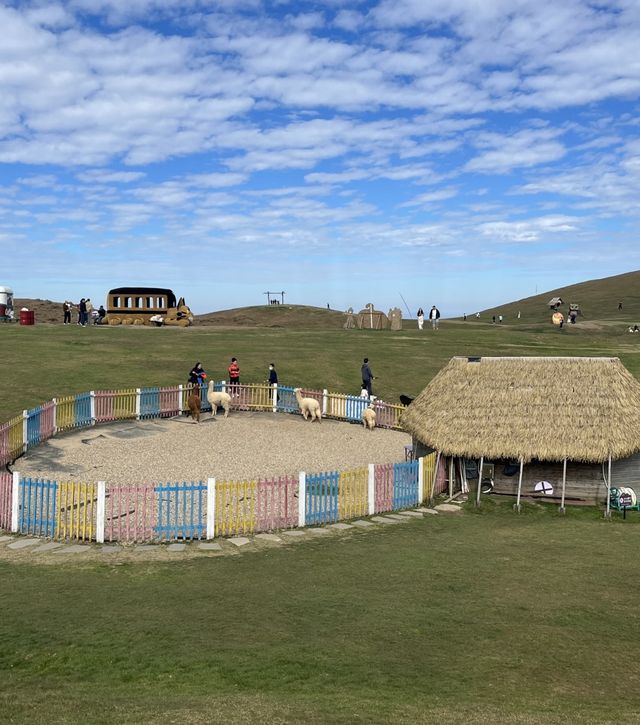 週末衝仰天湖剛好趕上霧淞收尾雙重驚喜 週末衝仰天湖剛好趕上霧淞收尾雙重驚喜