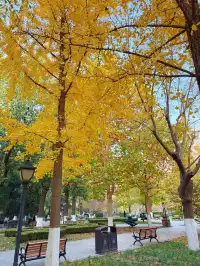 天津這條街假裝在歐洲暴走