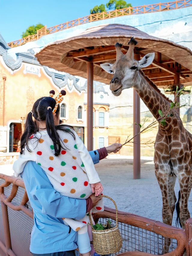 本地人親測,這裡就是泉州遛娃天花板 本地人親測,這裡就是泉州遛娃天花板