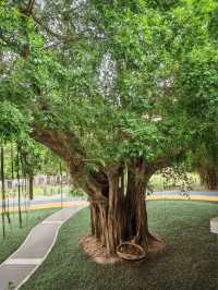 汕頭-潮州5日遊保姆級攻略看完直接衝就對了