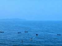 大連東港：落日餘暉下的浪漫之約，還有更多驚喜等你發現