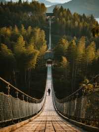 錯峰親子遊|南山竹海+天目湖超全攻略