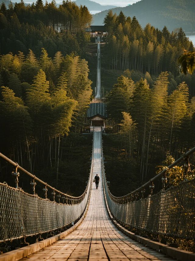 錯峰親子遊|南山竹海+天目湖超全攻略 錯峰親子遊|南山竹海+天目湖超全攻略