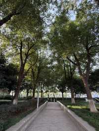 武漢 / 洪山廣場