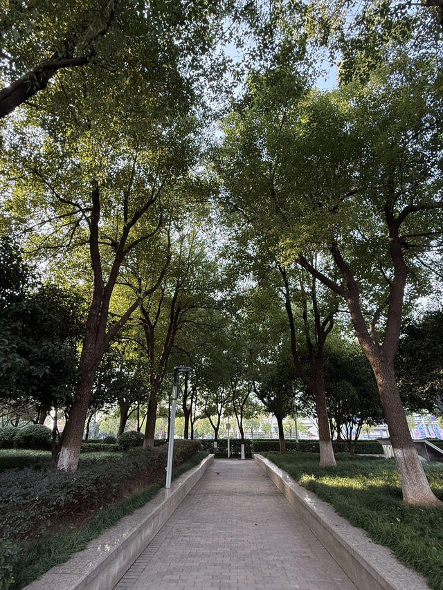 武漢 / 洪山廣場