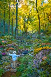 以為宏村秋天夠美了,直到去了這個皖南小鎮