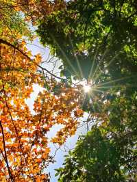 上饒三日賞秋攻略說好這篇就夠了！