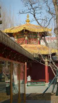 金塔藍天下佛光普照