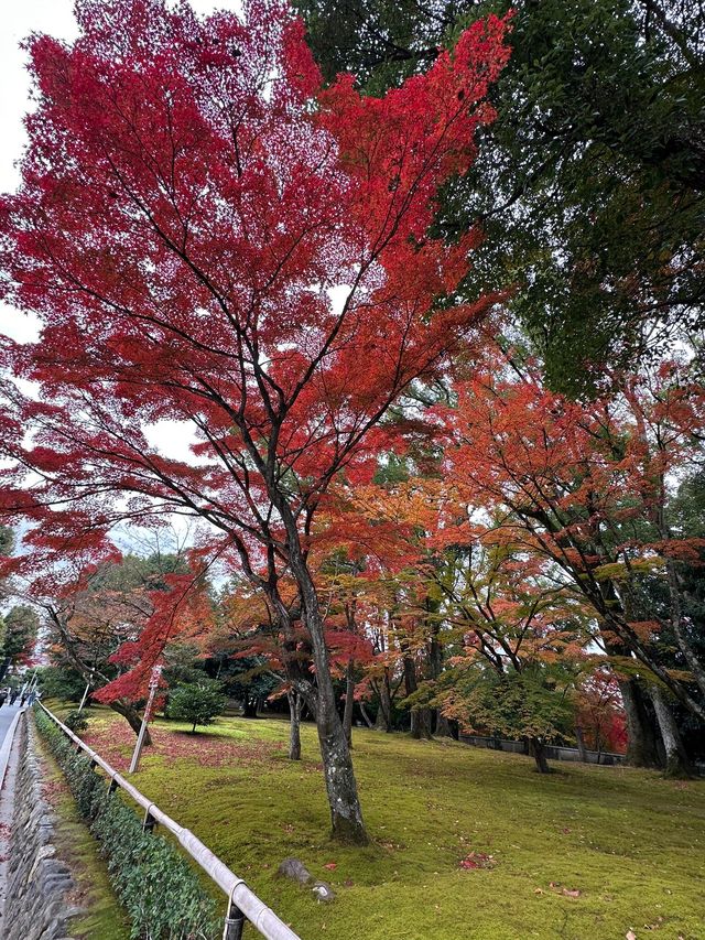 A More Balanced Kyoto Temple Experience