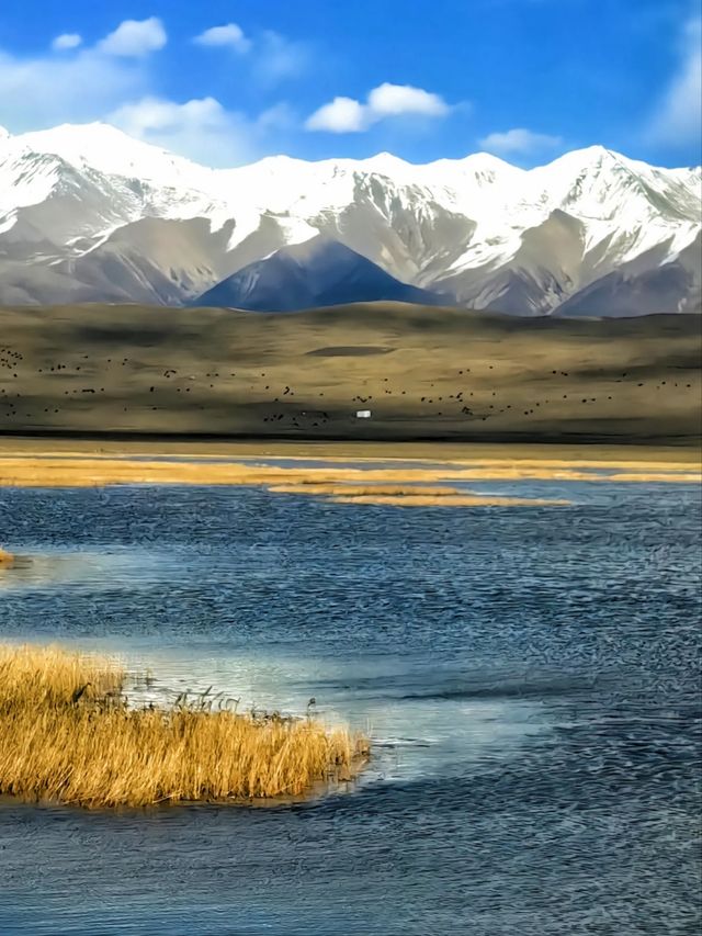 青海旅行8天遊帶你實現一場與眾不同的旅行 青海旅行8天遊帶你實現一場與眾不同的旅行