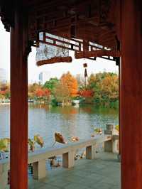 上海世博文化公園裡隱藏的寶藏園林!申園也太仙了叭~