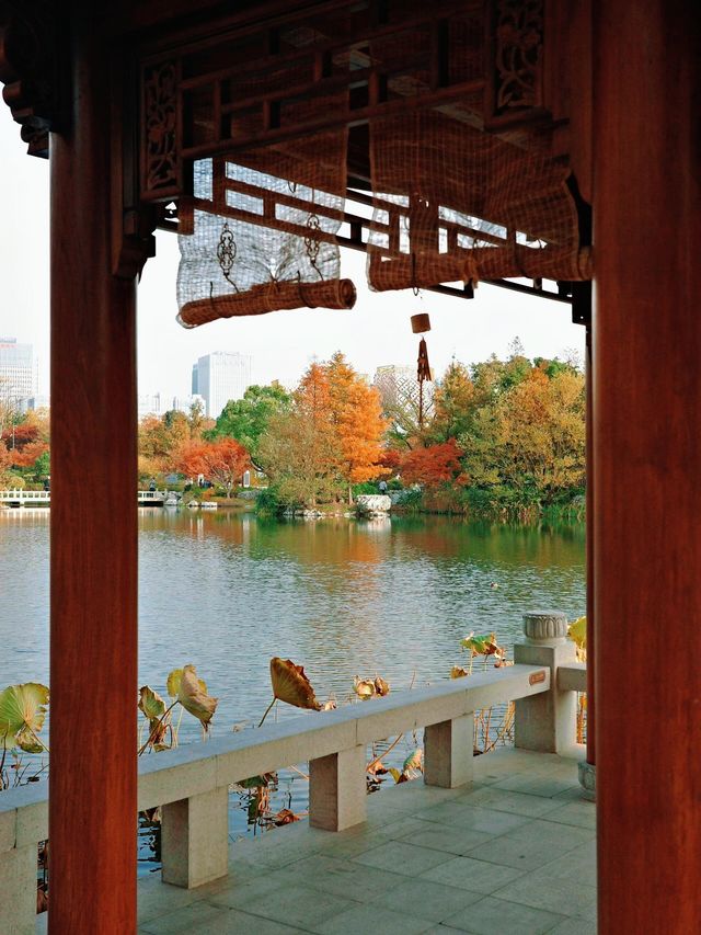 上海世博文化公園裡隱藏的寶藏園林!申園也太仙了叭~ 上海世博文化公園裡隱藏的寶藏園林!申園也太仙了叭~