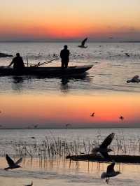 平頂山白龜湖|中原天鵝湖觀鳥指南