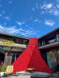 麗江這家民宿，美到離譜！