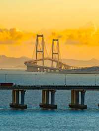 深圳這裡也太美了吧！！