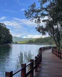 雲南普洱|「梅子湖公園」城市裡的天然氧吧