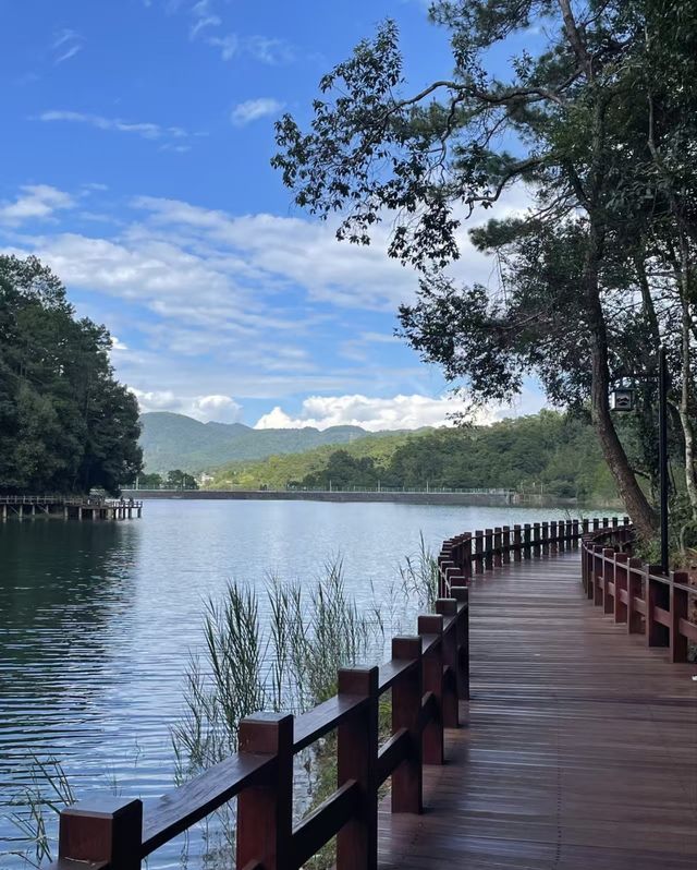 雲南普洱|「梅子湖公園」城市裡的天然氧吧 雲南普洱|「梅子湖公園」城市裡的天然氧吧