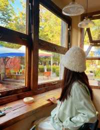 大理巍山古城超美侘寂風民宿不想走