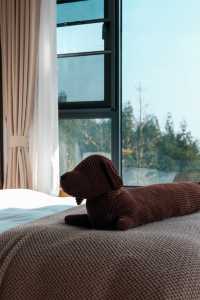 住進雲朵裡，私湯泡著泡著就飄起來了