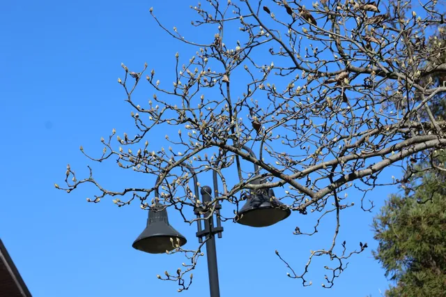 11.29莫干山 11.29莫干山