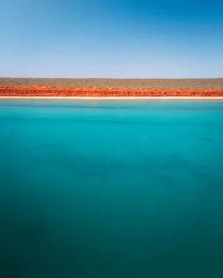 The Shark Bay World Heritage Site in Australia is absolutely stunning!