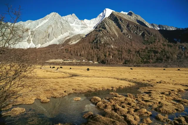 三刷稻城亞丁,終於遇見了它的巔峰時刻 三刷稻城亞丁,終於遇見了它的巔峰時刻
