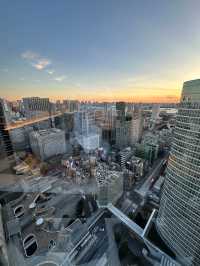 東京詩穎洲際酒店 | 驚艷的城市美景   酒店名稱：東京詩穎洲際酒店  地址：東京都 港區 26