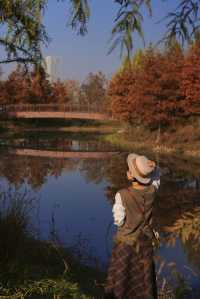 魔都的冬天有多美！紅得像火