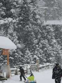 Heavenly Hemu: Ski Through China’s Snowy Fairy Tale! ⛷️