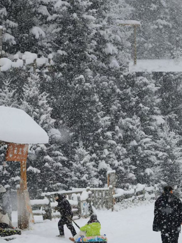 Heavenly Hemu: Ski Through China’s Snowy Fairy Tale! ⛷️ Heavenly Hemu: Ski Through China’s Snowy Fairy Tale! ⛷️