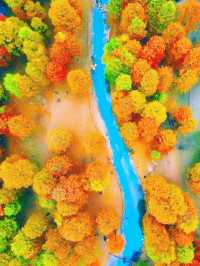 你真的沒騙我,石井水庫真的美到失語