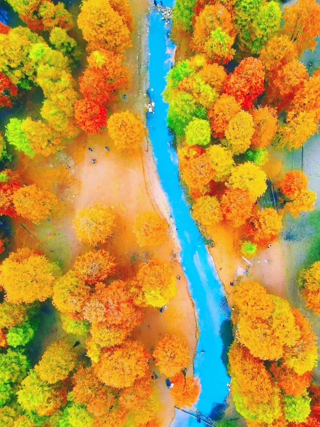 你真的沒騙我,石井水庫真的美到失語 你真的沒騙我,石井水庫真的美到失語