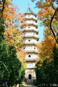 重慶出發 去南京過秋天