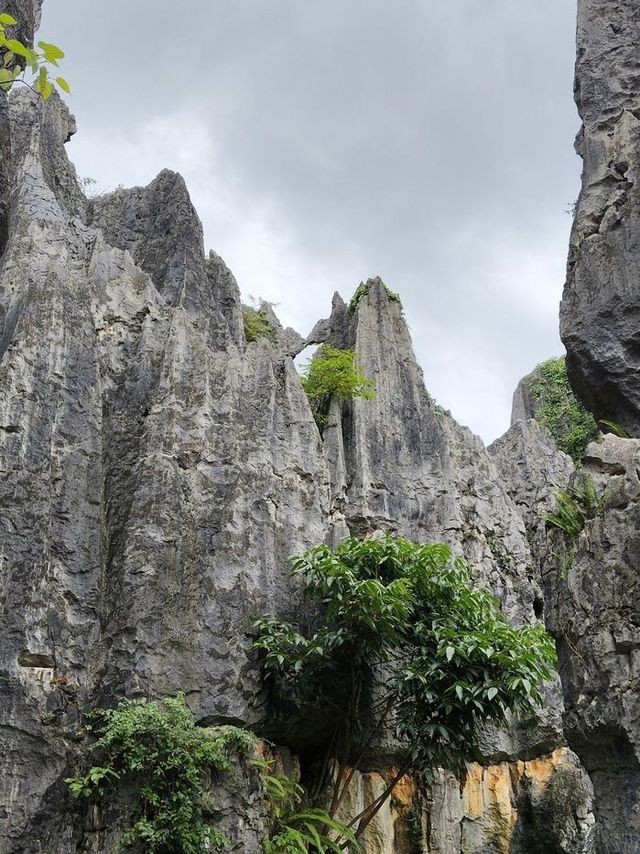 5天玩轉昆明超全攻略速來收藏 5天玩轉昆明超全攻略速來收藏