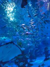 哈爾濱極地公園攻略筆記