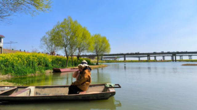 3月限定！阜南王家坝の絶美な菜の花畑で写真を撮ろう