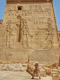 在埃及摸到了課本上的金字塔