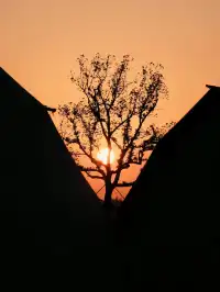 蘇州陽澄湖｜帶快樂小狗來草坪撒歡打滾