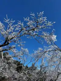 去了郴州3次,莽山看雪就應該這麼玩!!