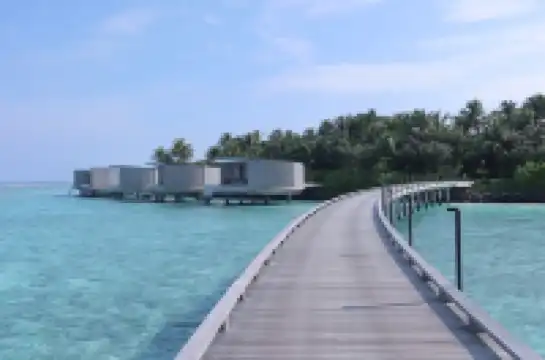 馬爾代夫 麗思卡爾頓選島成功