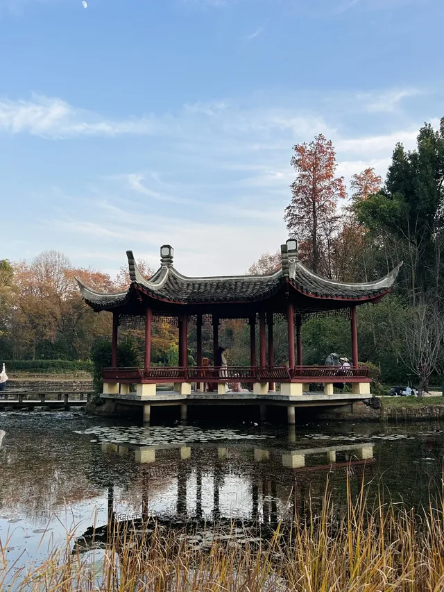 湖北新生旅遊年卡武漢植物園全攻略