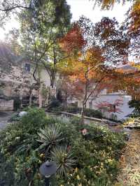 歷峰雙墅藝術探秘