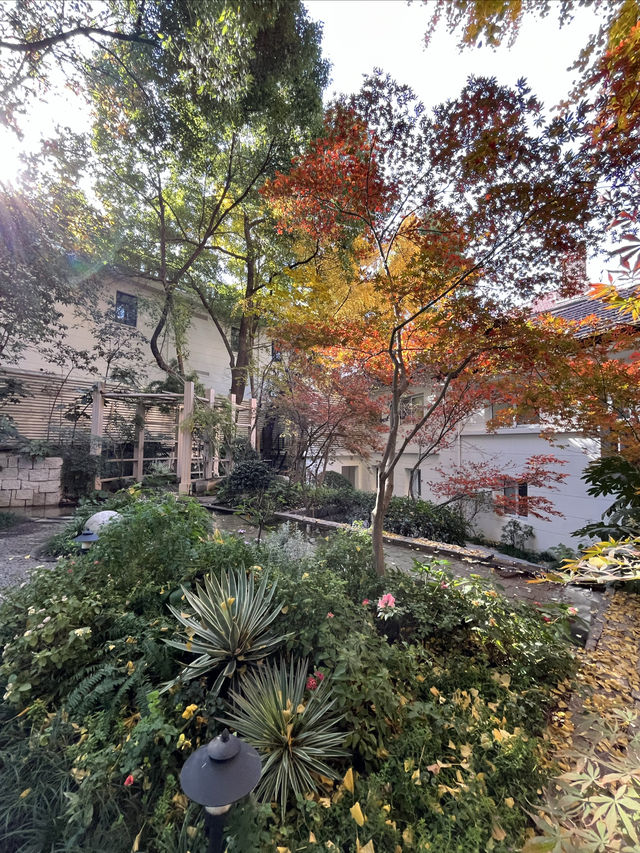 歷峰雙墅藝術探秘