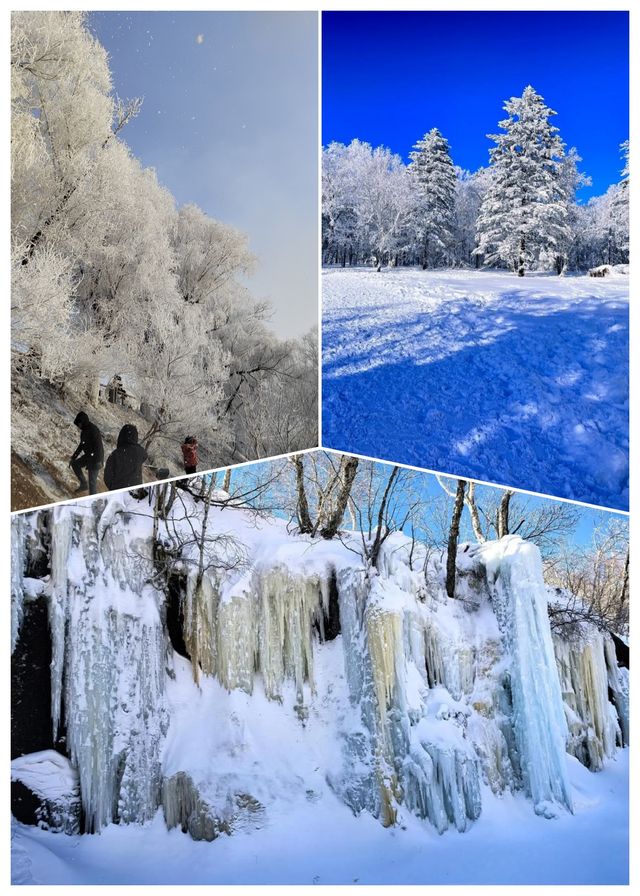 哈爾濱+雪鄉+長白山滑雪6日遊! 哈爾濱+雪鄉+長白山滑雪6日遊!