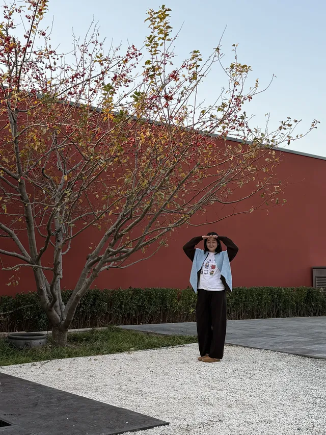 北京｜還有誰不知道隆福寺9樓天台怎麼上